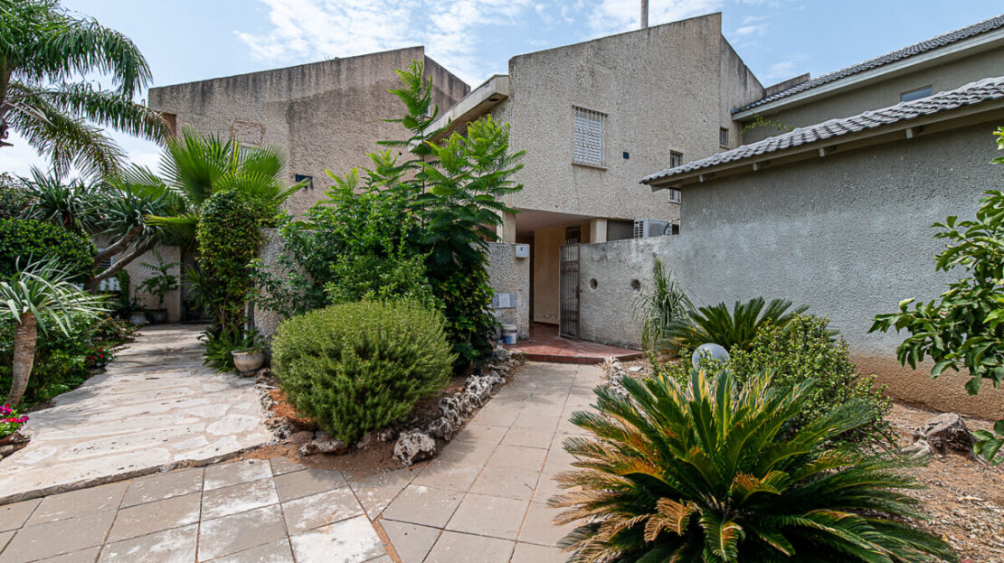 video image